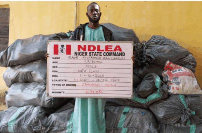 NDLEA Nabs Suspected Bandits’ Drug Supplier In Niger