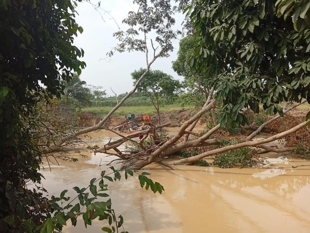Osogbo Community Raises Alarm Over Illegal Mining Activities, Demands Govt Urgent Action