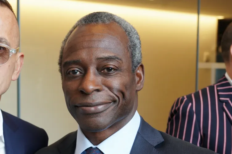 Meet Jide James Zeitlin, The Nigerian Man Named Alongside Dangote In Jeffrey Epstein Files 
