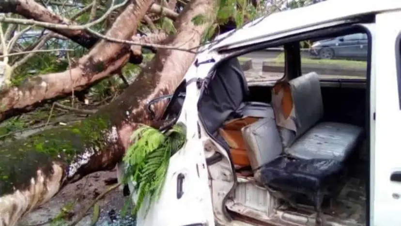 Tree Crushes Commercial Bus In Enugu, Several Feared Dead