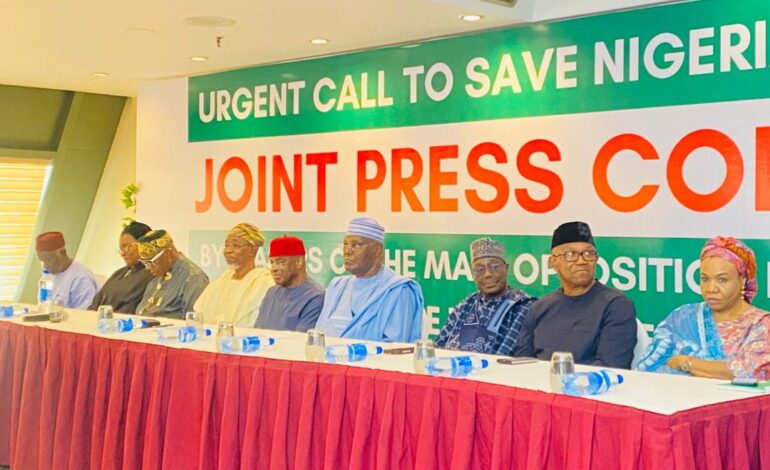 Why Opposition Leaders Rejected New Electoral Act, Amended INEC Timetable