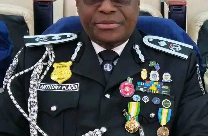 IG Appoints New Police PRO To Replace Hundeyin