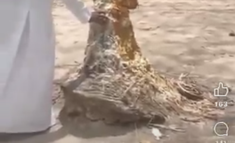 Outrage As Pastor Storms Osun Grove, Preaches Against Deity