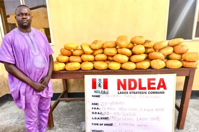 NDLEA Arrests Ex-Lagos Councillor Over Alleged Possession of 40kg Cannabis