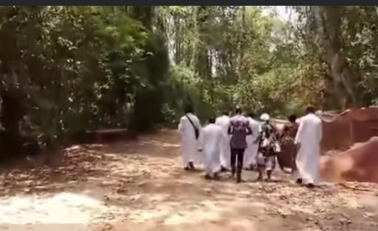 Traditionalists React To Pastors’ Invasion, Desecration Of Osun Grove