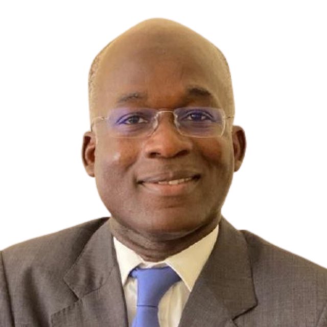 Tinubu Appoints Ede-Born Ex-Minister As Special Adviser On Power