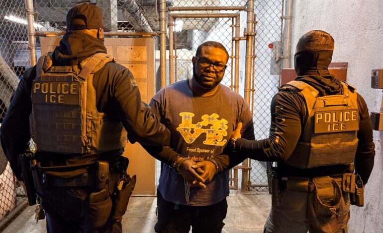 53-Year-Old Nigerian Arrested in US Over Child Molestation, Sexual Battery Allegations