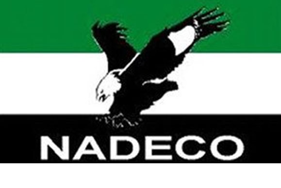 Group Advocates ‘NADECO 2.0’ Ahead of 2027 Elections, Calls for Structural Reforms
