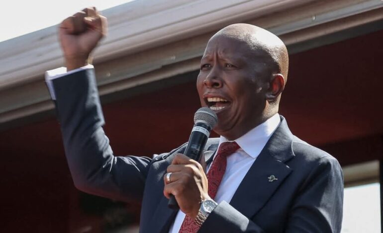 Just In: S’African Left-Wing Party Leader Malema Jailed Five Years