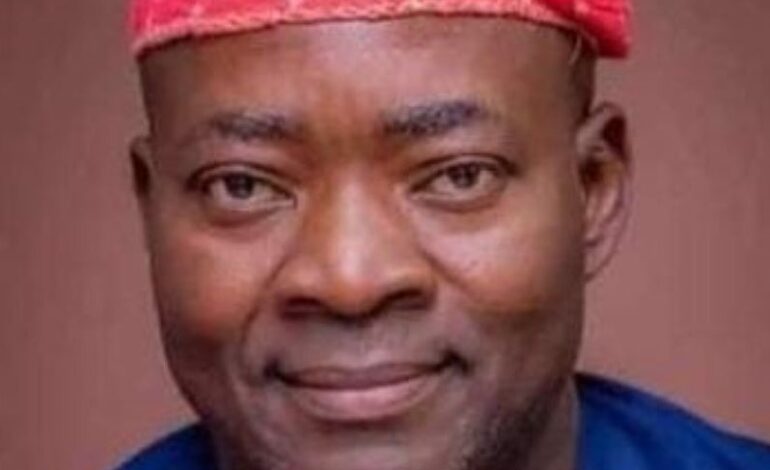 August 15: Civil Society Organisations Will Accept No Excuse From INEC – Babarinde
