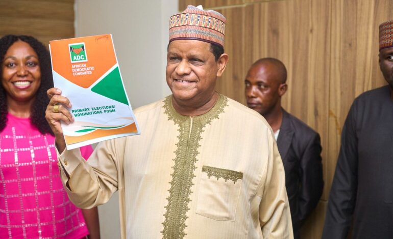 2027: Hayatu-Deen Picks N100m ADC Presidential Form