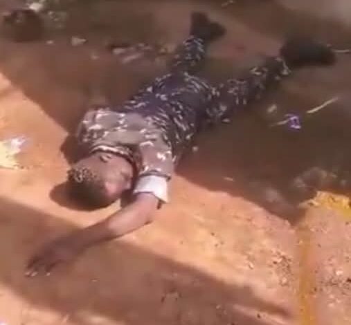 Police Begin Disciplinary Action Against Officer Filmed Rolling On The Ground In Viral Video