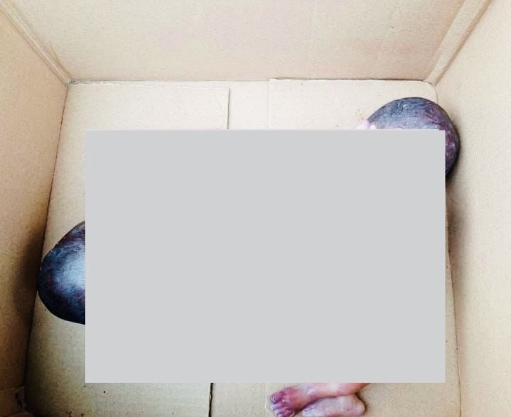 Abandoned Twin Babies Found Dead in Anambra Drainage