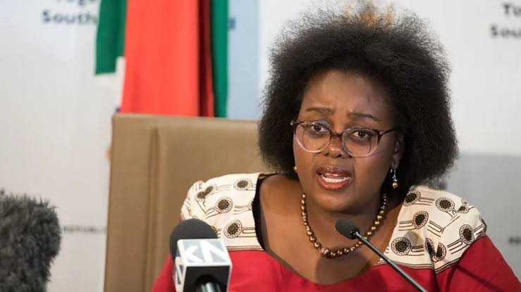 Xenophobia: Our Artistes’ Shows Are Being Cancelled Across Africa— South African Minister