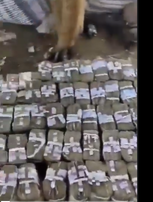 Video: Bandits Brazenly Display Cash Obtained From Kidnap Ransom