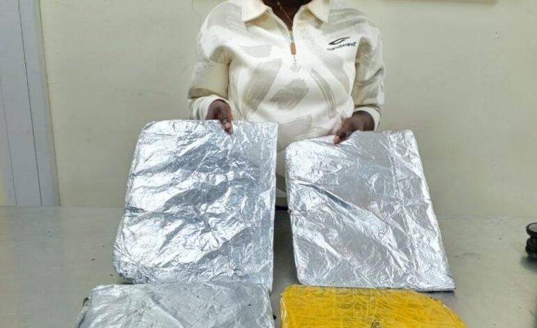 NDLEA Arrests Woman With Cocaine, Seizes N12.4bn Worth Of Cannabis