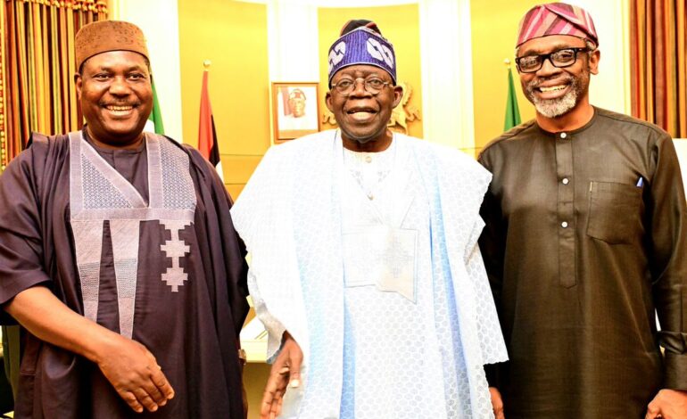 PFIPC Scandal: How SGF Requested Office Space For ‘Fake Agency’