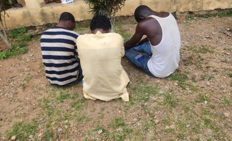 Police Arrest 3 Suspects Over Alleged Attack On APC Campaign DG, Oke In Ipetu-Ijesa